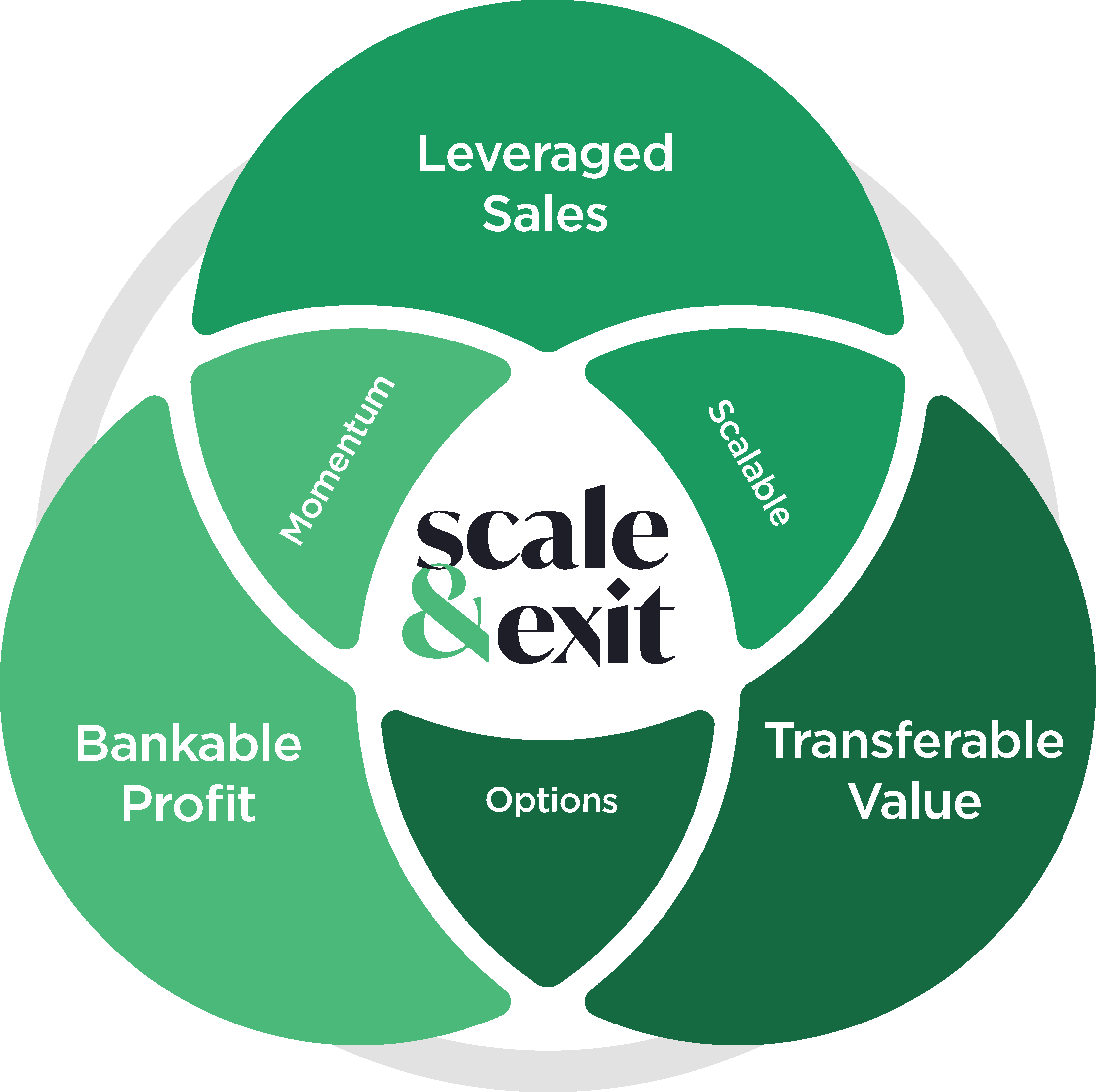 The three Elements of Scale — Leveraged Sales, Bankable Profit and Transferable Value — overlapping to produce Momentum, Scalable and Options.